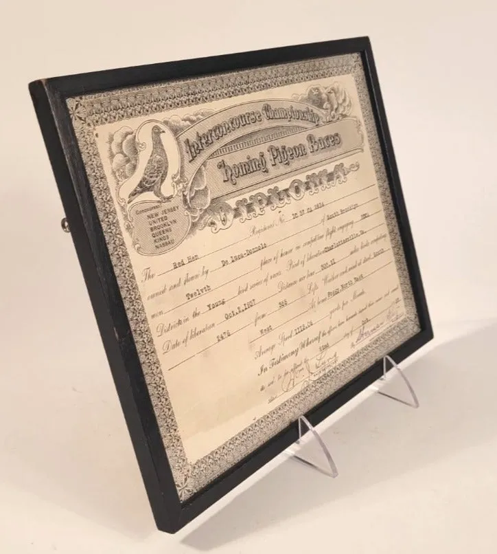 1937 Interconcourse Championship HOMING PIGEON RACES Diploma, Framed