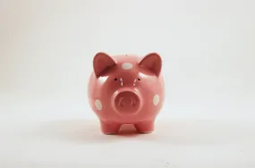 Ceramic Piggy Bank