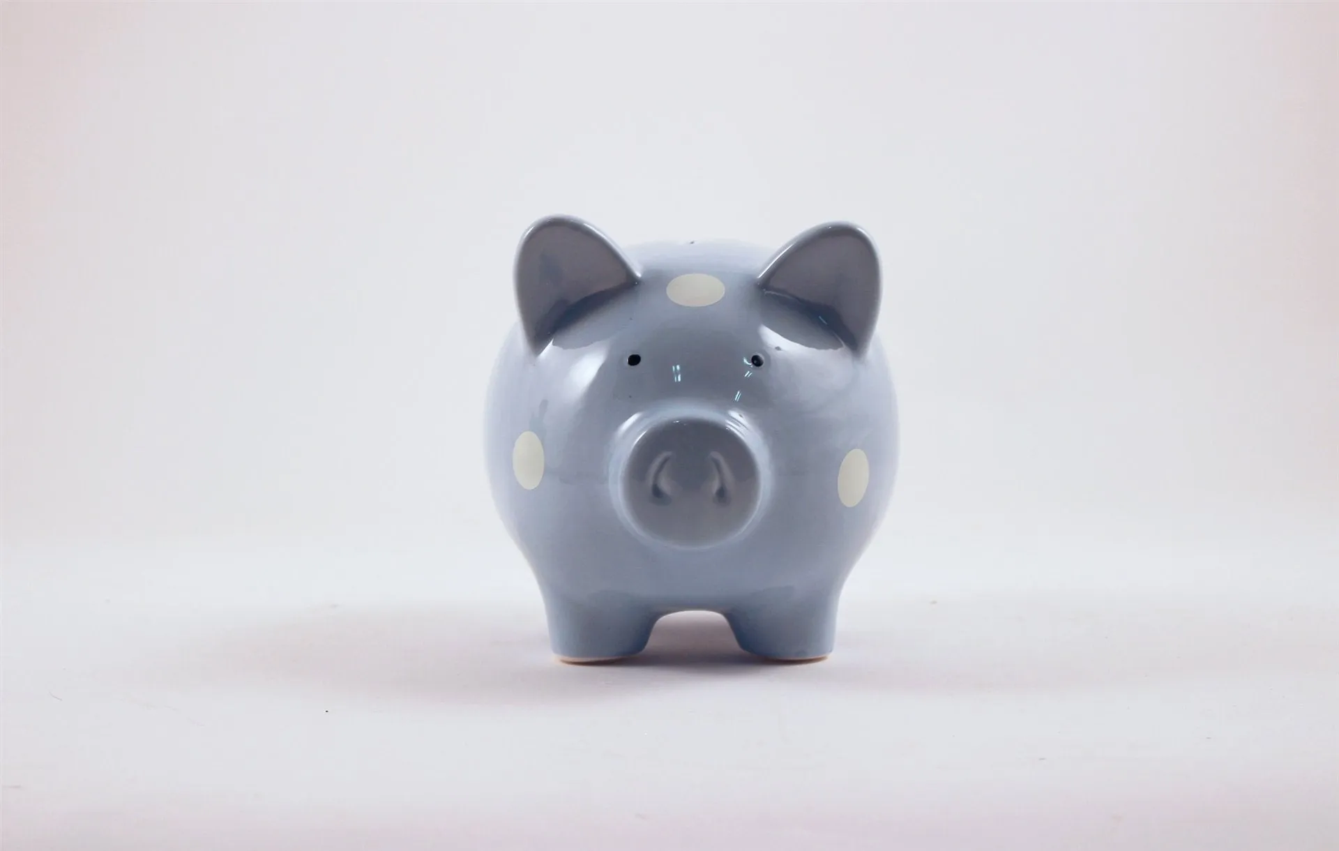 Ceramic Piggy Bank