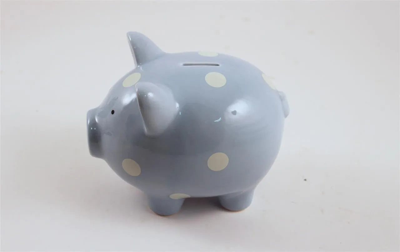 Ceramic Piggy Bank