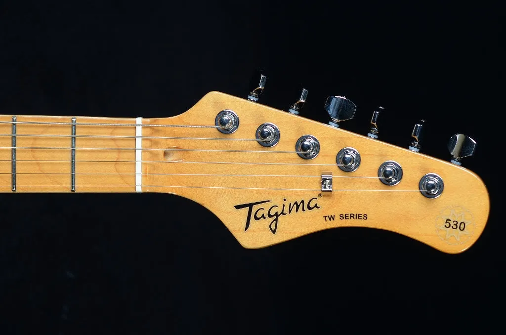 Tagima TW Series TG-530 - Lake Placid Blue